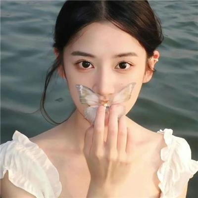 雁南飞