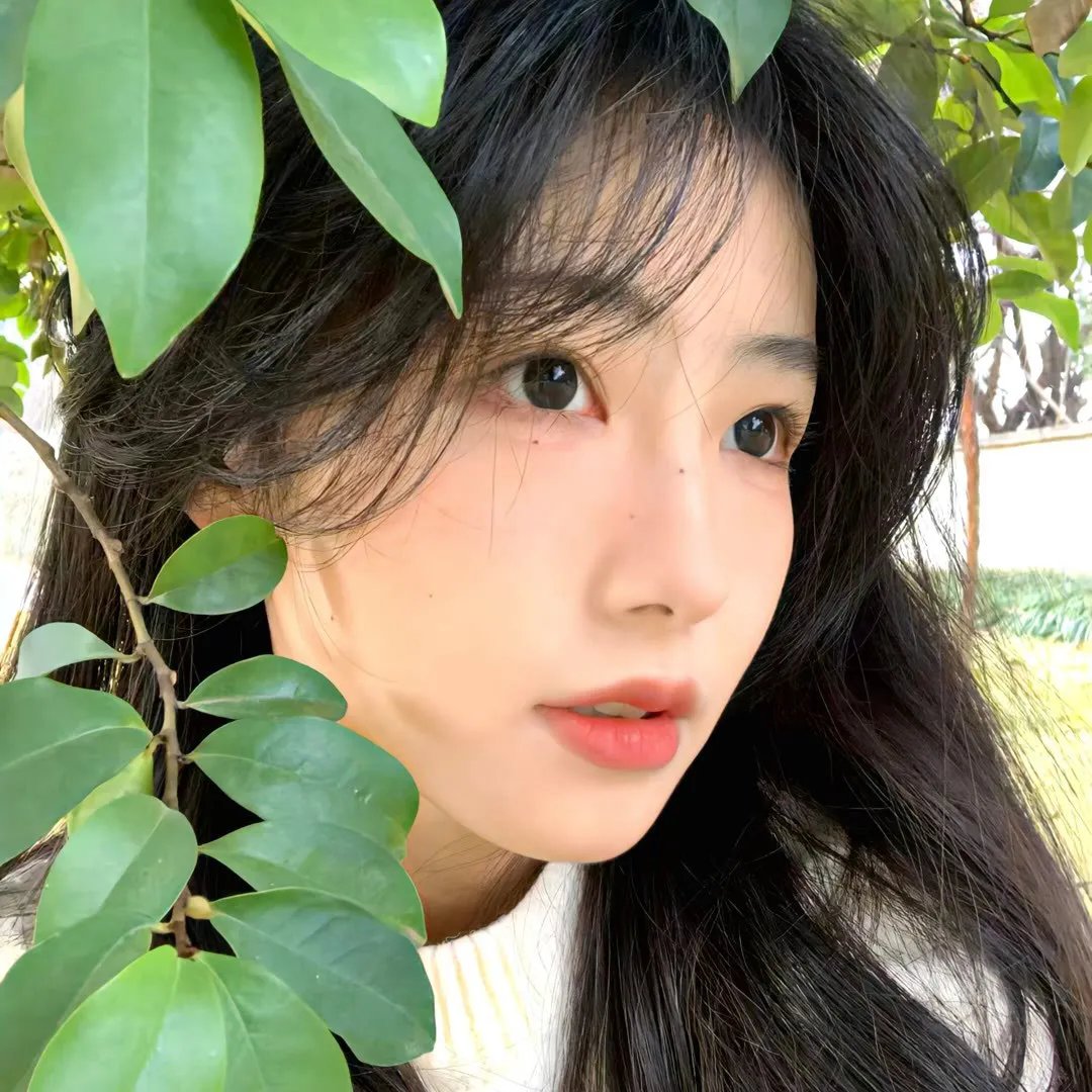 南国春恋